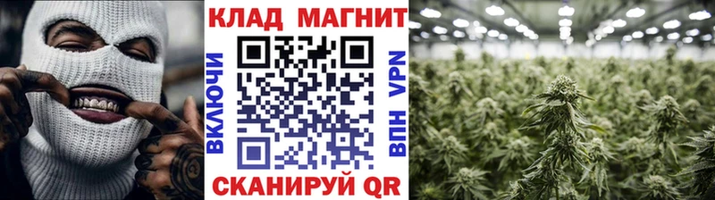 Купить наркоту Данков Псилоцибиновые грибы Alpha PVP Меф мяу мяу Канабис