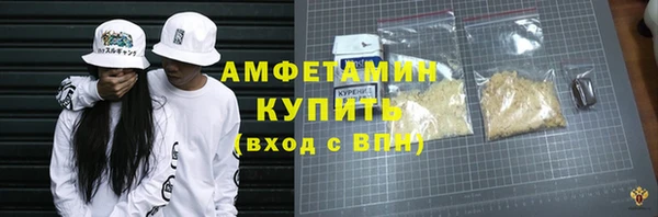 молекула духа Богданович